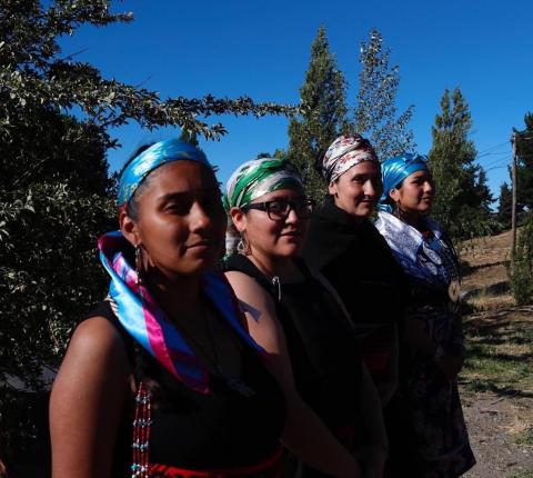 Presas políticas Mapuches